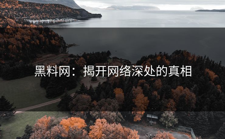 黑料网：揭开网络深处的真相