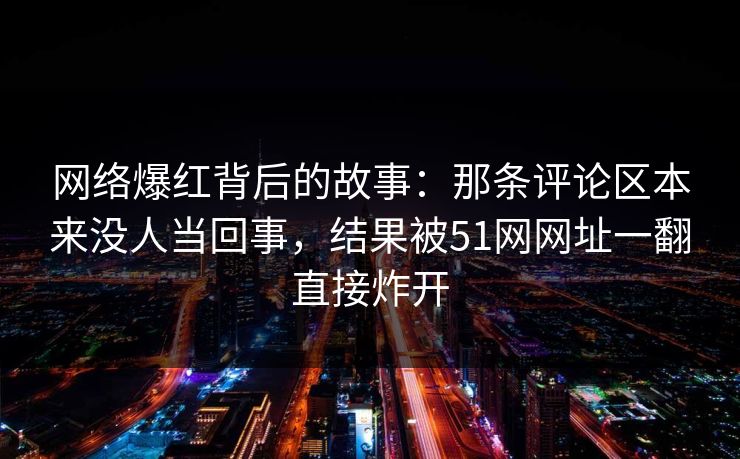 网络爆红背后的故事：那条评论区本来没人当回事，结果被51网网址一翻直接炸开