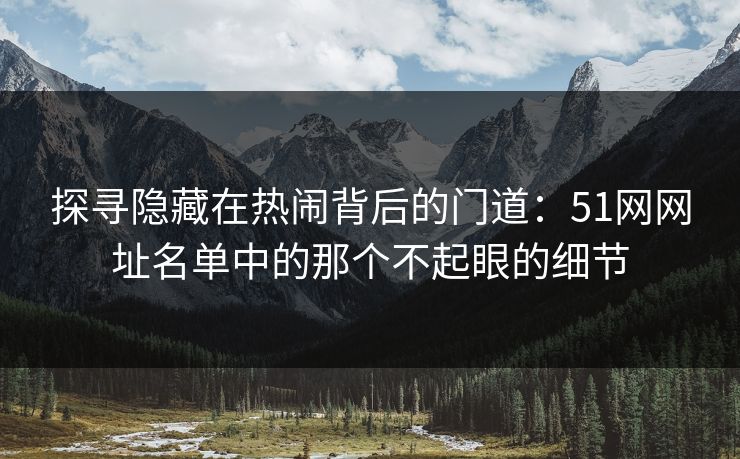 探寻隐藏在热闹背后的门道：51网网址名单中的那个不起眼的细节
