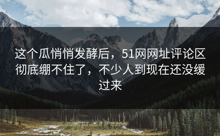 这个瓜悄悄发酵后，51网网址评论区彻底绷不住了，不少人到现在还没缓过来