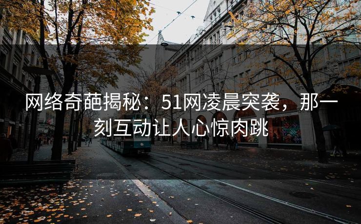 网络奇葩揭秘：51网凌晨突袭，那一刻互动让人心惊肉跳